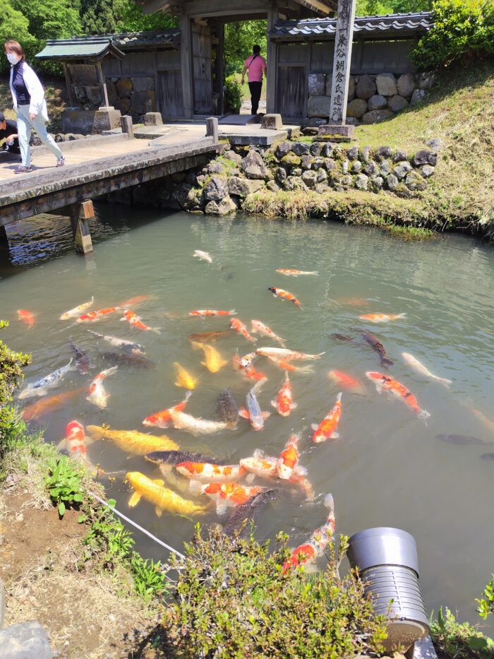 一乗谷朝倉氏遺跡